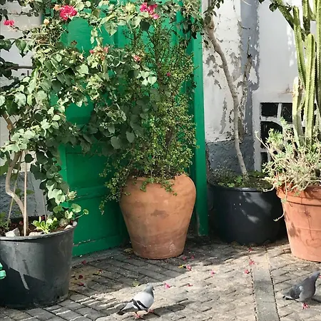 Casa de Férias House In Arrecife, Lanzarote, Charco De San Gines *